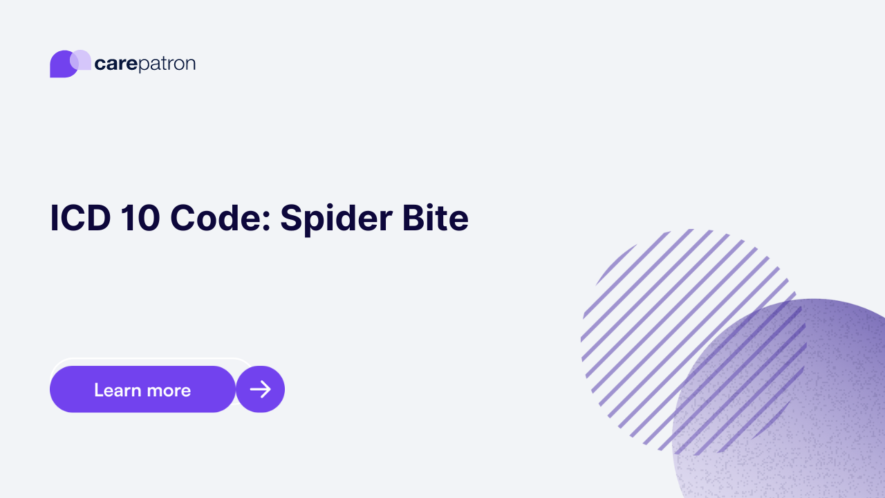 Spider Bite ICD10CM Codes 2023